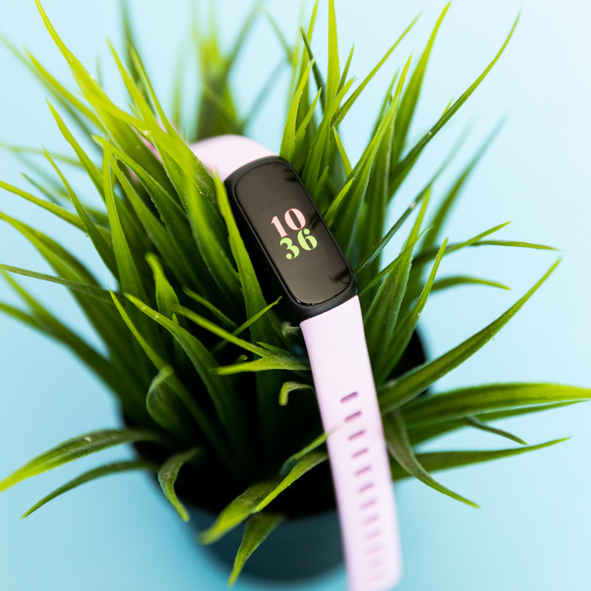 Fitbit Inspire 3 di atas tanaman