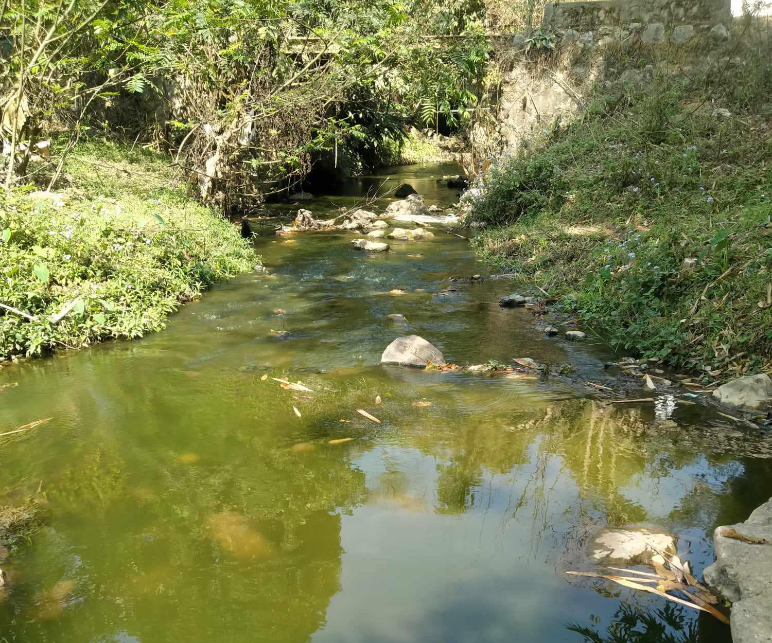 Green creek scares off Lao villagers — warungku – Warungku Terkini