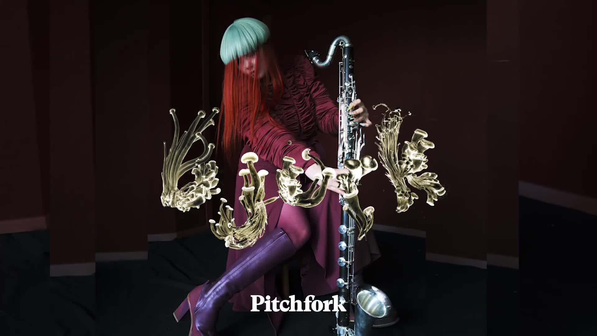 Björk Explains the Meaning Behind Fossora, Her “Mushroom Album” – Warungku Terkini